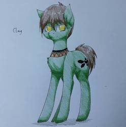 Size: 1393x1405 | Tagged: safe, artist:melpone, oc, oc only, oc:clay, earth pony, pony, male, solo, stallion, traditional art