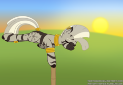 Size: 1300x900 | Tagged: safe, artist:terton, oc, oc only, oc:akachi, zebra, balancing, ear piercing, eyes closed, meditating, piercing, solo, sun