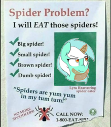 Size: 496x566 | Tagged: source needed, safe, artist:lockheart, artist:obvious plant, edit, lyra heartstrings, pony, spider, unicorn, g4, advertisement, female, glowing horn, hand, horn, irl, l.u.l.s., magic, magic hands, mare, meme, obvious plant, photo, ponified, ponified meme, poster, thinking, wat