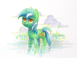 Size: 1882x1417 | Tagged: safe, artist:dawnfire, lyra heartstrings, pony, unicorn, g4, cattails, cloud, colored pupils, female, reeds, solo, standing in water, water