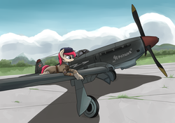 Size: 3500x2450 | Tagged: safe, artist:sinniepony, oc, oc only, earth pony, pony, aircraft, clothes, cloud, communism, fighter plane, high res, history, male, military pony, military uniform, pilot, plane, russia, russian, solo, soviet, summer, uniform, world war ii, yak-9