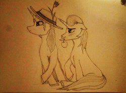 Size: 4192x3104 | Tagged: safe, artist:crazyparrot, flam, flim, pony, g4, apple, blushing, flim flam brothers, food, monochrome, traditional art