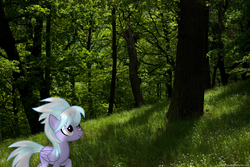 Size: 3286x2200 | Tagged: safe, artist:swearn, cloudchaser, pony, g4, forest, high res, irl, photo, ponies in real life, solo, tree