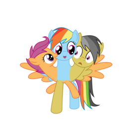 Size: 2000x2000 | Tagged: safe, artist:mlpconjoinment, daring do, rainbow dash, scootaloo, pony, g4, conjoined, dash and scootaloo's cycle of obsession, dreams do come true, female, fusion, high res, multiple heads, simple background, sisters, three heads, three-headed pony, together forever, transparent background, we're like sisters only closer, what has science done, xk-class end-of-the-world scenario