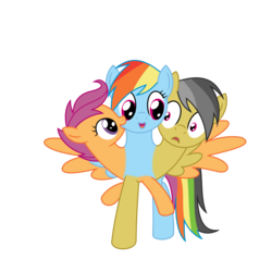 Size: 2000x2000 | Tagged: safe, artist:mlpconjoinment, daring do, rainbow dash, scootaloo, pegasus, pony, g4, conjoined, dash and scootaloo's cycle of obsession, dreams do come true, female, fusion, high res, multiple heads, simple background, sisters, spread wings, three heads, three-headed pony, together forever, transparent background, we're like sisters only closer, what has science done, wings, xk-class end-of-the-world scenario