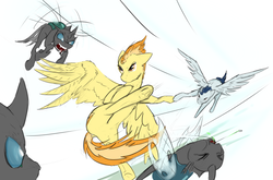 Size: 1280x845 | Tagged: safe, artist:testostepone, soarin', spitfire, changeling, pegasus, pony, g4, battle couple, female, fight, flying, male, mare, simple background, stallion, straight, underhoof, white background