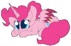 Size: 1280x833 | Tagged: safe, artist:tomboygirl45, pinkie pie, alicorn, pony, princessponk, g4, alicornified, animated, ask, colored wings, colored wingtips, eye shimmer, female, gif, pinkiecorn, prone, race swap, solo, tumblr, xk-class end-of-the-world scenario