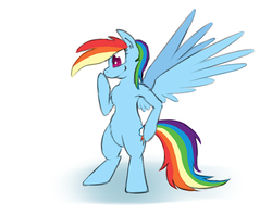 Size: 566x449 | Tagged: safe, artist:firenhooves, rainbow dash, pegasus, pony, g4, atg 2017, bipedal, female, mare, newbie artist training grounds, simple background, solo, standing, white background, wings