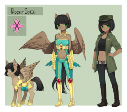 Size: 1700x1500 | Tagged: safe, artist:pak_lin_min, oc, oc only, oc:pepper spice, human, pegasus, anthro, plantigrade anthro, anthro oc, armor, clothes, cutie mark, female, freckles, guardsmare, hand on hip, humanized, humanized oc, mare, military uniform, reference sheet, royal guard, simple background