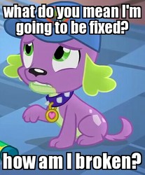 Size: 397x480 | Tagged: safe, edit, edited screencap, screencap, spike, spike the regular dog, dog, equestria girls, g4, my little pony equestria girls: legend of everfree, abuse, cap, caption, collar, frown, gritted teeth, hat, image macro, imminent castration, imminent spikeabuse, looking up, male, meme, poor spike, raised hoof, solo, spikeabuse, worried