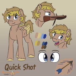 Size: 2000x2000 | Tagged: safe, artist:floofyfoxcomics, oc, oc only, oc:quickshot, pegasus, pony, arrow, colt, crossbow, high res, male, mouth hold, reference sheet, solo