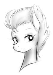 Size: 707x987 | Tagged: safe, artist:jovalic, spitfire, pegasus, pony, g4, bust, female, grayscale, mare, monochrome, portrait, simple background, sketch, solo, white background
