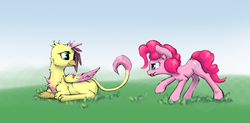 Size: 4500x2213 | Tagged: safe, artist:thelittlesnake, fluttershy, pinkie pie, griffon, pony, g4, fluttergriffon, griffonized, high res, prone, species swap, tongue out