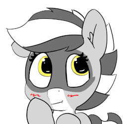 Size: 3000x3000 | Tagged: safe, artist:pabbley, oc, oc only, oc:bandy cyoot, pony, raccoon pony, animated, blushing, cute, gif, high res, solo