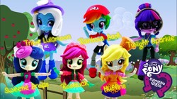 Size: 1280x720 | Tagged: safe, bon bon, derpy hooves, roseluck, sweetie drops, trixie, twilight sparkle, equestria girls, g4, doll, equestria girls minis, female, irl, merchandise, photo, toy