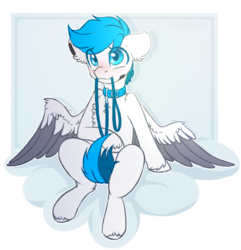 Size: 1447x1500 | Tagged: safe, artist:trickate, oc, oc only, pegasus, pony, blushing, collar, leash, male, mouth hold, solo, stallion