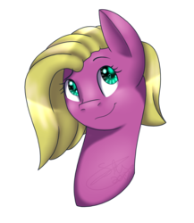 Size: 1300x1500 | Tagged: safe, artist:sketchthebluepegasus, oc, oc only, oc:fairy, pony, bust, female, mare, portrait, simple background, solo, transparent background