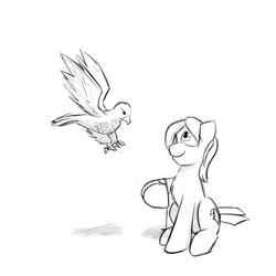 Size: 1280x1280 | Tagged: safe, artist:captainhoers, oc, oc only, oc:aerie rufter, falcon, pony, chest fluff, falconry, grayscale, monochrome, sketch