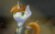 Size: 3200x2000 | Tagged: safe, artist:kirasunnight, oc, oc only, oc:littlepip, pony, unicorn, fallout equestria, clothes, colored pupils, ear fluff, female, high res, jumpsuit, mare, rain, saddle bag, solo, vault suit