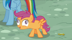 Size: 600x338 | Tagged: safe, screencap, rainbow dash, scootaloo, pony, g4, newbie dash, animated, derp, female, gif, laughing, scootaderp