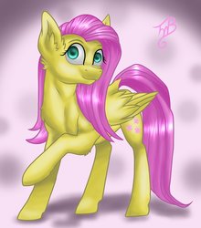 Size: 1024x1162 | Tagged: safe, artist:tillie-tmb, fluttershy, pegasus, pony, g4, female, mare, raised hoof, solo