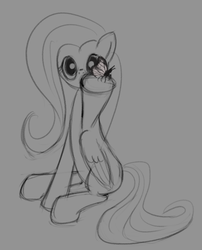 Size: 754x932 | Tagged: safe, artist:sycreon, fluttershy, butterfly, pegasus, pony, g4, female, mare, sitting, sketch, solo