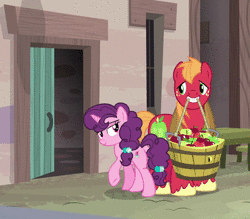 Size: 946x830 | Tagged: safe, screencap, big macintosh, sugar belle, earth pony, pony, unicorn, g4, hard to say anything, and then sex happened, animated, apple, basket, bedroom eyes, bushel basket, butt, female, food, looking at each other, male, mare, mouth hold, no sound, out of context, plot, ship:sugarmac, shipping, stallion, straight, webm