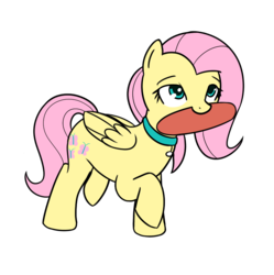 Size: 834x839 | Tagged: safe, artist:neuro, fluttershy, pegasus, pony, g4, behaving like a dog, collar, female, flutterdog, frisbee, mare, mouth hold, simple background, solo, transparent background, walking