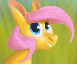 Size: 1200x1000 | Tagged: safe, artist:drawerproyeah, fluttershy, pony, g4, bust, female, grass, looking sideways, looking up, portrait, smiling, solo
