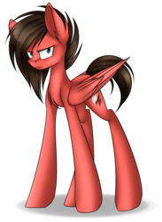 Size: 1600x2180 | Tagged: safe, artist:snowbunny0820, oc, oc only, oc:cameron, pegasus, pony, male, simple background, solo, stallion, transparent background