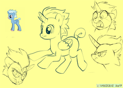 Size: 1190x850 | Tagged: safe, artist:spacecase, oc, oc only, alicorn, pony, alicorn oc, blank flank, solo