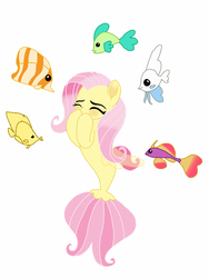 Size: 1536x2048 | Tagged: safe, artist:joshstacy, fluttershy, angelfish, butterfly fish, fish, seapony (g4), tropical fish, g4, my little pony: the movie, adorkable, blushing, cute, dork, eyes closed, female, laughing, mare, seaponified, seapony fluttershy, shyabetes, simple background, solo, species swap, white background
