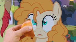 Size: 400x225 | Tagged: safe, artist:小凱, edit, edited screencap, screencap, bright mac, pear butter, earth pony, pony, g4, the perfect pear, achoo, animated, anti-brony, boomerang (tv channel), chinese, crying, female, food, gif, hand, male, onion, ship:brightbutter, shipping, sneezing, straight