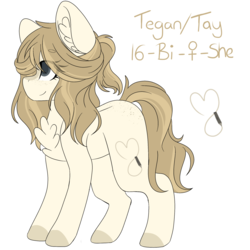 Size: 2048x2048 | Tagged: safe, artist:cinnamontee, oc, oc only, oc:tegan, earth pony, pony, chest fluff, female, high res, mare, reference sheet, solo