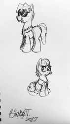 Size: 1707x2996 | Tagged: safe, artist:binkyt11, derpibooru exclusive, rogue (g4), withers, earth pony, pony, g4, henchmen, male, monochrome, signature, stallion, traditional art