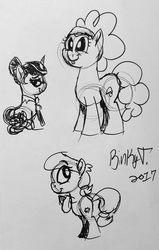 Size: 1830x2870 | Tagged: safe, artist:binkyt11, derpibooru exclusive, bella brella, lily longsocks, nosey news, quill (character), pony, g4, monochrome, rearing, signature, traditional art