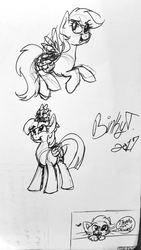 Size: 1587x2809 | Tagged: safe, artist:binkyt11, derpibooru exclusive, rainbow dash, spike, twilight sparkle, oc, oc:binky, alicorn, cat, dragon, pony, g4, monochrome, signature, speech bubble, the end, traditional art, twilight sparkle (alicorn)