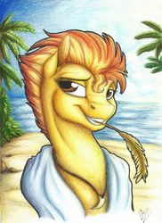 Size: 2461x3389 | Tagged: safe, artist:lupiarts, spitfire, pegasus, pony, g4, beach, female, hay, high res, looking at you, mare, necklace, ocean, palm tree, sand, shark teeth, solo, towel, traditional art, tree