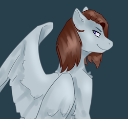 Size: 600x559 | Tagged: safe, artist:metro scrunch, oc, oc only, oc:blackened blue, pegasus, pony, male, simple background