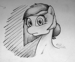 Size: 2715x2261 | Tagged: safe, artist:potatobug, derpibooru exclusive, oc, oc only, oc:lucky joey, pony, alternate hairstyle, high res, looking at you, traditional art