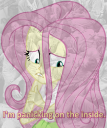 Size: 823x984 | Tagged: safe, edit, edited screencap, screencap, fluttershy, equestria girls, equestria girls specials, g4, my little pony equestria girls: mirror magic, cropped, female, missing accessory, panicking, scared, solo, subtitles, vietnam flashback