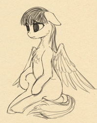 Size: 910x1148 | Tagged: dead source, safe, artist:lunebat, pegasus, pony, chest fluff, female, mare, monochrome, sad, sitting, sketch, solo, wings