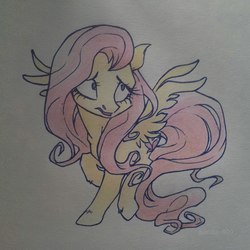 Size: 1002x1002 | Tagged: safe, artist:pandan009, fluttershy, pony, g4, female, solo, traditional art