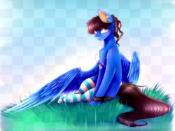 Size: 3161x2366 | Tagged: safe, artist:magicalbrownie, oc, oc only, oc:sonica, pegasus, pony, art trade, chest fluff, clothes, dog tags, eyelashes, female, high res, mare, smiling, socks, solo, stockings, striped socks, thigh highs