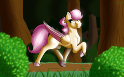 Size: 3200x2000 | Tagged: safe, artist:kirasunnight, oc, oc only, pegasus, pony, chest fluff, colored wings, ear fluff, female, fluffy, forest, high res, leg fluff, looking back, mare, multicolored wings, raised hoof, shoulder fluff, solo, trotting, unshorn fetlocks