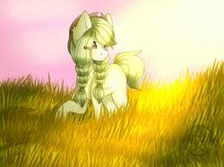 Size: 947x704 | Tagged: safe, artist:shizzarchan, oc, oc only, earth pony, pony, braid, colored pupils, crepuscular rays, female, field, grass field, mare, raised hoof, solo
