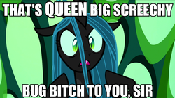Size: 2560x1440 | Tagged: safe, edit, edited screencap, screencap, queen chrysalis, changeling, changeling queen, totally legit recap, g4, to where and back again, changeling kingdom, female, image macro, meme, solo, text