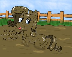 Size: 1000x800 | Tagged: safe, artist:amateur-draw, rarity, pony, unicorn, g4, covered in mud, female, mare, mud, muddy, solo, wet and messy