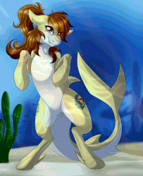 Size: 580x715 | Tagged: safe, artist:imiokun, artist:pinktabico, oc, oc only, oc:katya ironstead, fish, original species, shark, shark pony, animated, bubble, crepuscular rays, dorsal fin, fangs, female, fin, fins, fish tail, flowing mane, flowing tail, gif, gills, looking at you, mare, ocean, seaweed, sharkified, signature, smiling, smiling at you, solo, species swap, standing, sunlight, swimming, tail, underwater, water