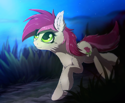 Size: 1192x983 | Tagged: safe, artist:breakdream, roseluck, earth pony, pony, g4, cheek fluff, chest fluff, ear fluff, female, fluffy, grass, looking up, mare, night, smiling, solo